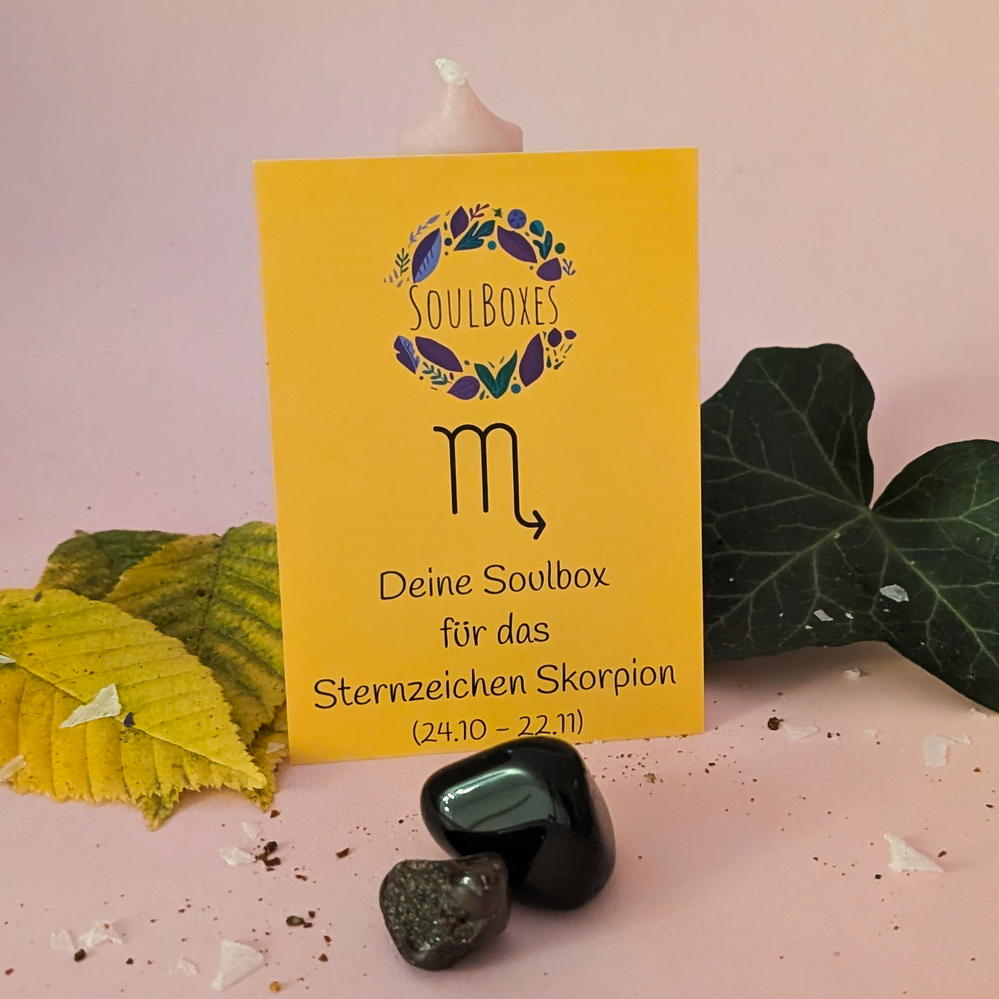 Skorpion Geschenkideen