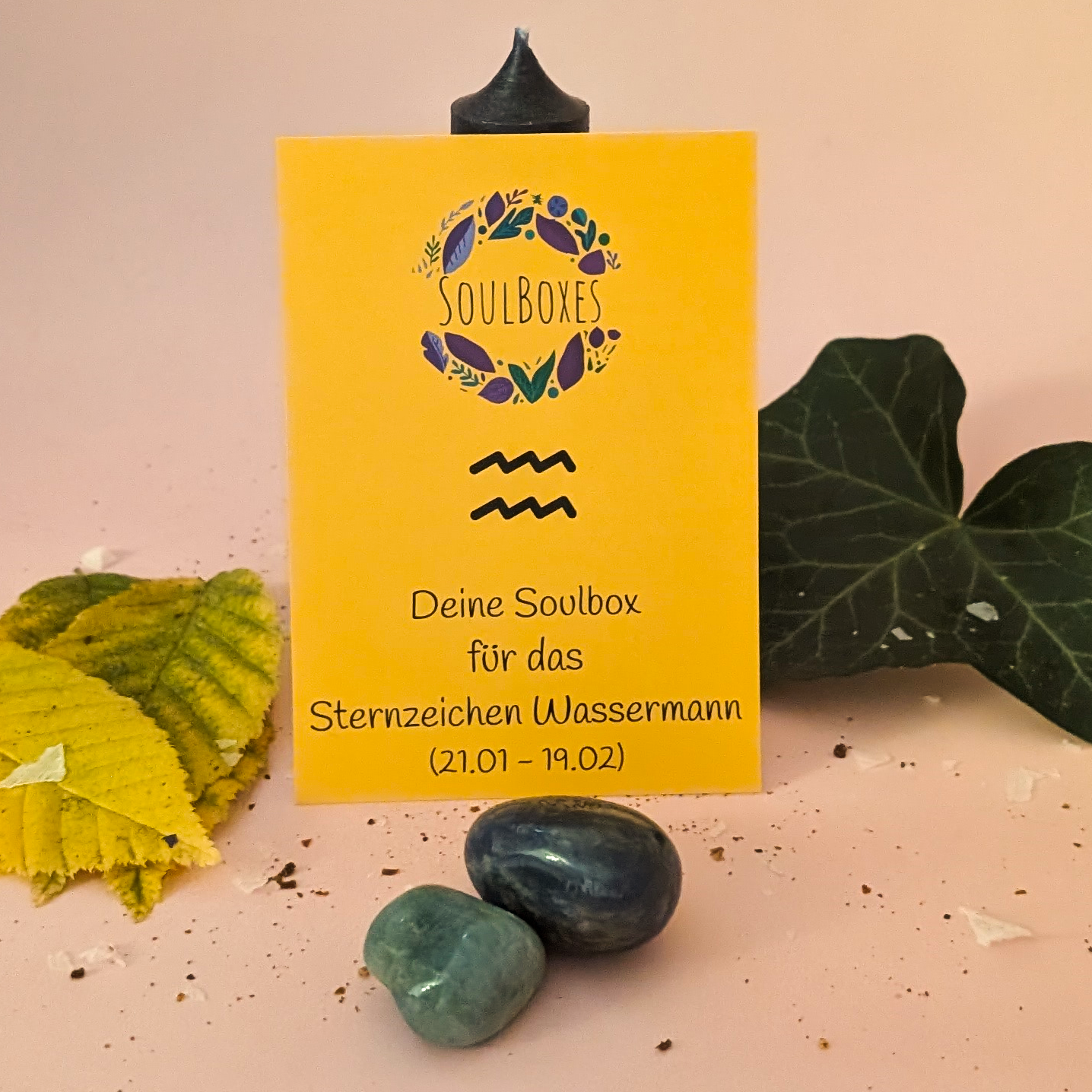 Wassermann Soulbox